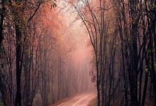 生死战全锦赛焦点战！AC米兰迎战皇家马德里，小胜或上演(神罚直播间被冲烂回放)